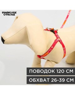 Комплект GlaМууур, шлейка 26-39 см, поводок 120х1 см Пушистое счастье