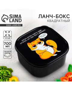 Ланч бокс Кот 700 мл Foodvibes