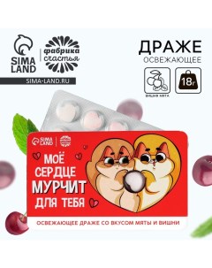 Драже освежающее «Мурчит для тебя», со вкусом мяты и вишни, 18 г. Фабрика счастья