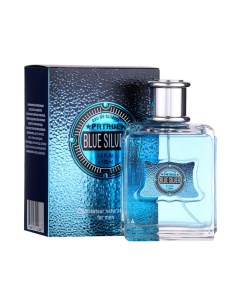 Туалетная вода мужская Patrol Blue Silver (по мотивам Blue Seduction), 100 мл Delta cosmetics