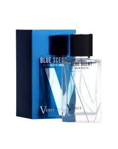 Туалетная вода мужская Vinci Blue Scent (по мотивам Blue Seduction), 100 мл Delta cosmetics