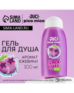 Гель для душа 300 мл аромат ежевики Pico mico