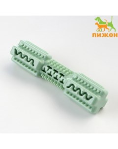 Игрушка для лакомств и сухого корма "Конструктор", TPR, массажная, 14 х 3,5 см, зелёная Пижон