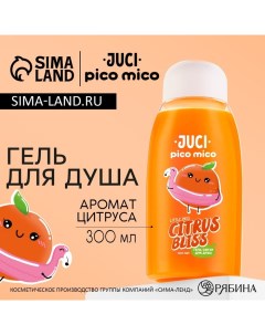 Гель для душа 300 мл аромат цитруса Pico mico