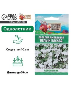 Семена цветов Лобелия ампельная "Белый каскад", 5 шт. Рецепты дедушки никиты