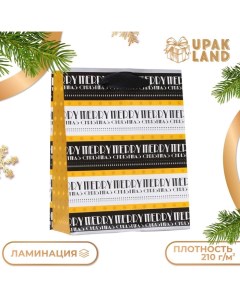 Пакет ламинированный Merry Merry 11 5 х 14 5 х 6 см Upak land