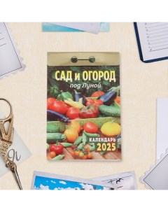 Календарь отрывной "Сад и огород под Луной" 2025 год, 7,7 х 11,4 см Атберг 98