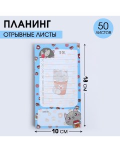 Планинг с отрывными листами 50 л Котик To do Artfox