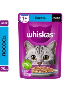 Влажный корм для кошек с лососем желе 75 г Whiskas