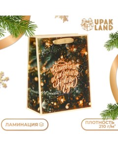 Пакет ламинированный «Волшебного и сказочного нового года», MS 18 ? 23 ? 10 см Upak land