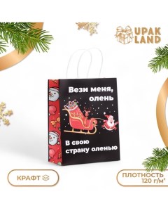 Пакет бумажный подарочный новогодний крафт, "Вези меня", 27 х 21 х 11 см. Upak land