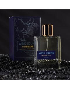 Туалетная вода мужская Звук Ветра Ураган 100 мл Brocard parfums