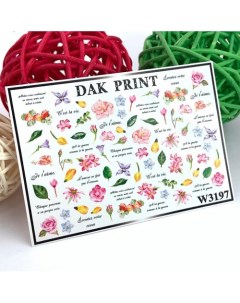 Слайдер-дизайн для ногтей W3197 Dak print