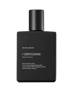 Парфюмерная вода Eau De Perfume Aqua Black 50 I gentleman