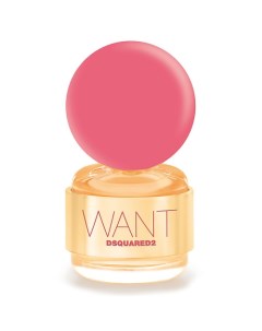 Парфюмерная вода Want Pink Ginger 100 Dsquared2