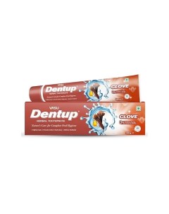 Зубная паста с гвоздикой дентап (Dentup With Clove) 100.0 Vasu