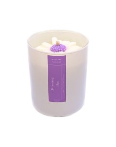 Свеча ароматическая с ароматом сирени Blooming lilac 400.0 Demetra candles