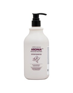 Pedison Маска для волос Арония Institute-beaut Aronia Color Protection Treatment 500.0 Evas