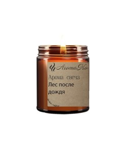 Свеча"Лес после дождя" 250.0 Aromako