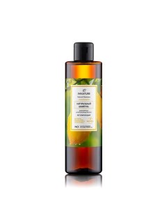 Шампунь регулирующий для жирных и проблемных волос Natural Shampoo Innature