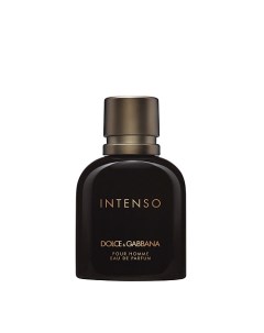 Парфюмерная вода Pour Homme Intenso 40 Dolce&gabbana