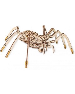 Деревянный конструктор 3D SPIDER Паук 1 0 Ewa eco-wood-art