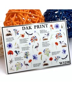 Слайдер дизайн для ногтей W3258 Dak print