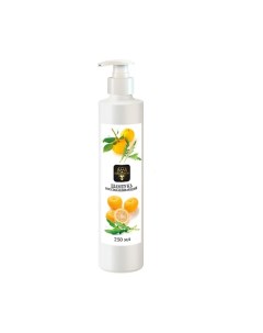 Шампунь Полное Восстановление 250.0 Shams natural oils