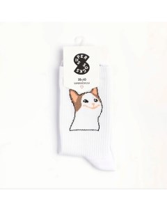 Носки Кот "А" Super socks