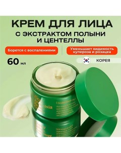 Успокаивающий крем с экстрактом полыни и центеллы Cica Х Artemisia Repair Cream 60 0 Vely vely