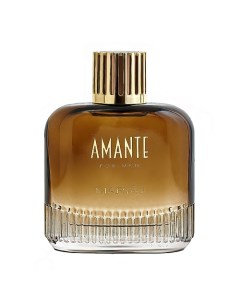 Парфюмерная вода AMANTE FOR MEN 100 0 Maryaj