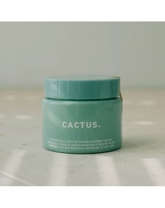 Освежающий крем Cactus Water Sherbet Cream 80.0 So natural