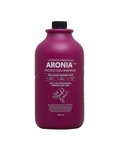 Pedison Шампунь для волос Арония Institute-beaut Aronia Color Protection Shampoo 2000.0 Evas