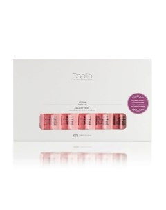 Набор: Лосьон для сухой кожи головы против перхоти Capilo Ekilibrium Aqua-Infusion N.34 Eva professional hair care