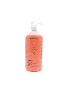 Шампунь для жирной кожи головы против перхоти Capilo Oxygenum Shampoo N.07 Eva professional hair care