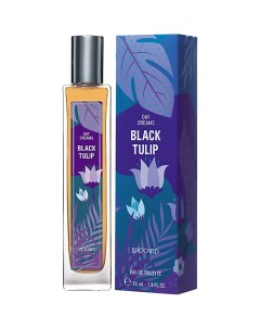 Грезы ЧЕРНЫЙ ТЮЛЬПАН DAY DREAMS BLACK TULIP 55 Brocard