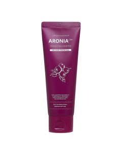 Pedison Шампунь для волос Арония Institute-beaut Aronia Color Protection Shampoo 100.0 Evas