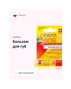 Бальзам для губ ARGAN OIL EXOTIC MANGO 4.5 Eveline