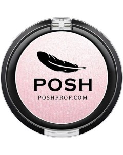 POSH Монохромные Мелкодисперсные высокопигментированные Влагостойкие тени №8 Poshprof.ru