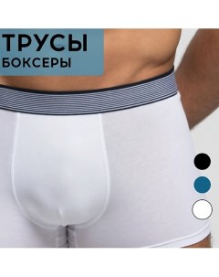 Трусы мужские BOXER EV PLANET Pompea