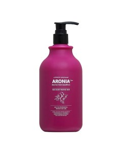 Pedison Шампунь для волос Арония Institute-beaut Aronia Color Protection Shampoo 500.0 Evas