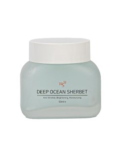 Увлажняющий и охлаждающий крем-щербет с эффектом блеска кожи Deep Ocean Sherbet 50.0 Wsh wesellhope