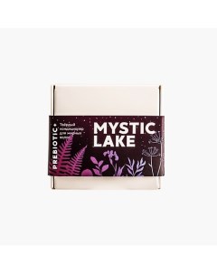 Твердый кондиционер для волос "Prebiotic+" 50.0 Mystic lake