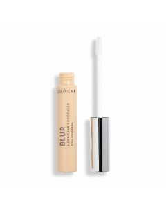 Стойкий увлажняющий консилер Blur Longwear Concealer Lumene