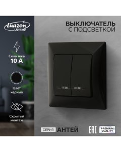 Выключатель "Антей", 10 А, 2 клавиши, скрытый, с подсветкой, черный Luazon lighting