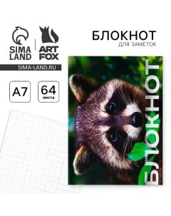 Блокноты в твердой обложке А7 64 л Енот Artfox