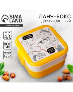 Ланч-бокс двухуровневый «Котики», 400 мл Foodvibes