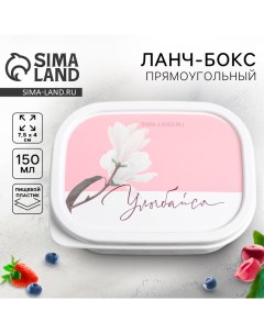 Ланч бокс Улыбайся 150 мл Foodvibes