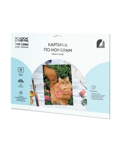 Картина по номерам Три совы