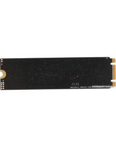 SSD 1TB PCPS001T1 Pc pet